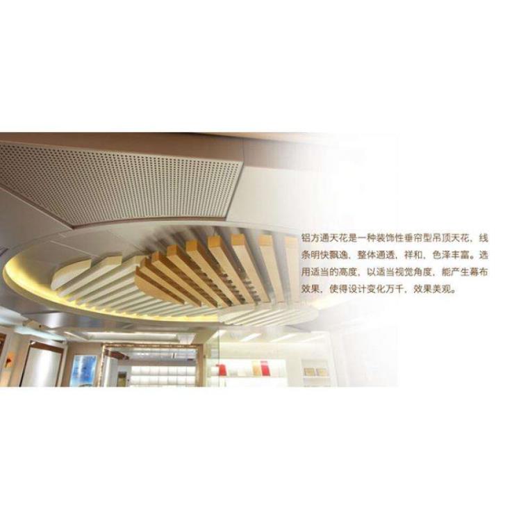 timg (13).jpg