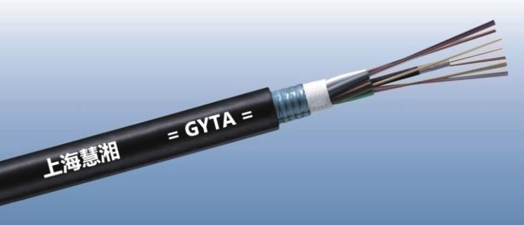 GYTA-1.jpg