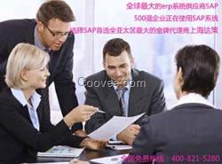 國內(nèi)SAP咨詢公司 總部達策 SAP代理