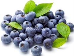 原花青素哪个牌子好?