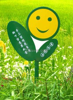 关于新颖花草的提示语