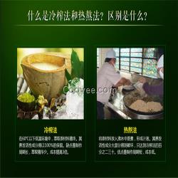 <em>掉头发是癌症</em>吗