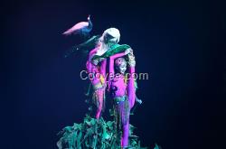 济宁鲁星舞蹈专修学校