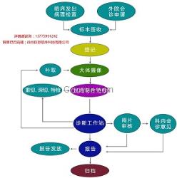 病理信息管理系統(tǒng) 病理科工作站 液基信息系統(tǒng) 皮膚信息系統(tǒng)