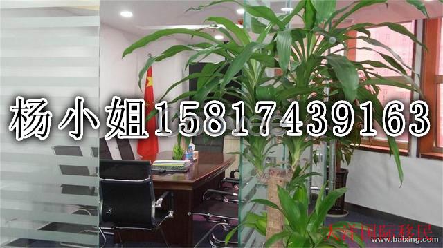 德国欧盟蓝卡移民项目的办理费用