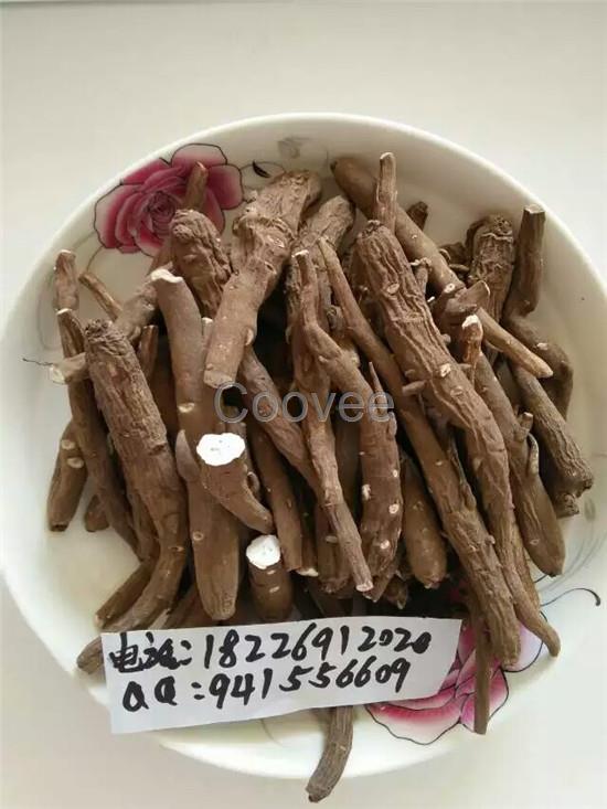 云南野生铁棒锤的功效与作用