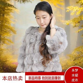 貂皮大衣水貂养殖前景