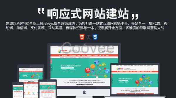 汉口专业做网站-汉口网站设计开发-汉口营销型网站设计