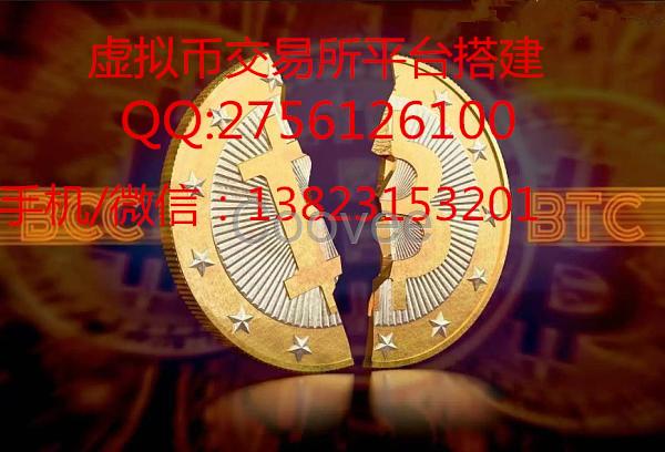 杭州比特币境外交易系统开发杭州点对点交易系