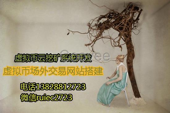 专业虚拟币交易平台APP开发中高端点对点交