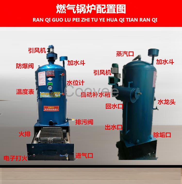 液化气锅炉   商用小型电加热蒸汽锅炉节能环保立式常压电热煮豆浆蒸