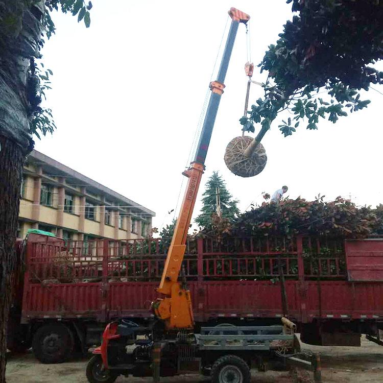 河南三轮车吊机 农用三轮改装吊树车 小型随车吊厂家