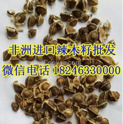 福州辣木茶营养辣木籽批发