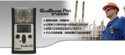 GB Pro 单气体检测仪