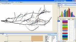 根系分析系统——根系形态分析的“领头羊”