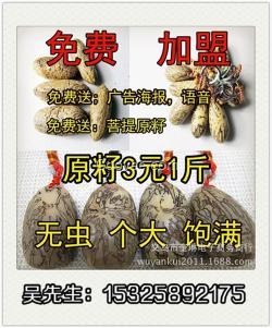 义乌联邦商贸(在线咨询)|重庆千眼菩提|