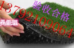 巢湖塑料植草格厂家