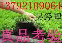 莆田塑料植草格厂家