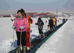 的魔毯 耐腐蚀性好的滑雪场魔毯