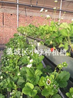 观光种植槽厂家