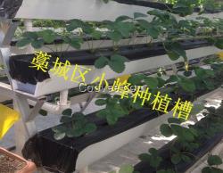 观光种植槽  价格