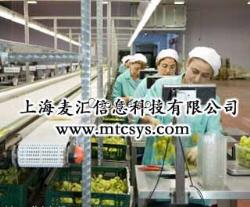 SAP食品加工软件 食品行业ERP实施 尽在MTC麦汇