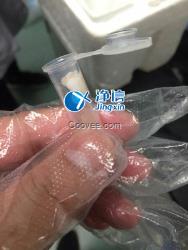 多样品组织研磨仪研磨破碎眼结膜实验-上海净信