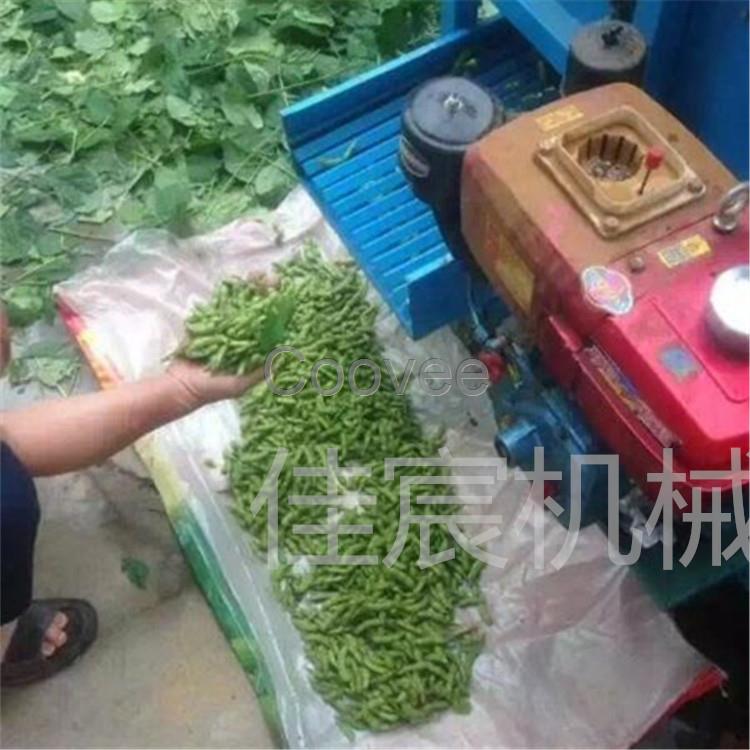 芜湖县豆子采摘机应用领域 率黄豆摘荚机大量批发