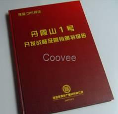 中国房地产策划定位和市场营销实战