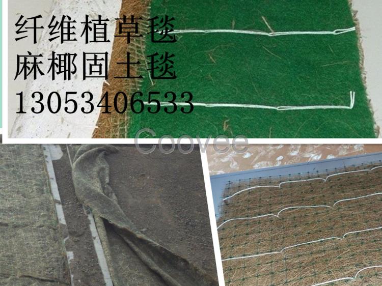 绵阳抗冲生物毯护坡抗冲生物毯抗冲刷加筋植被毯