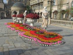 黄陂花卉,雅淳花卉(图),花卉设计