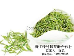 绿茶生产,绿茶,绿竹峰茶叶合作社