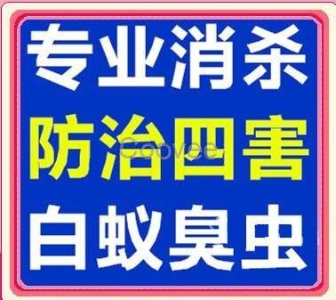 南城白蚁防治杀虫灭鼠公司