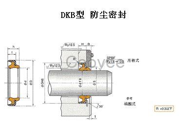 DKB型NOK防尘密封