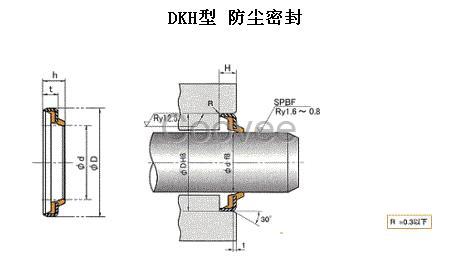 DKH型NOK骨架防尘圈