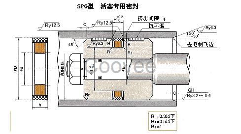 SPG系列NOK活塞专密封