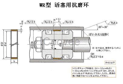 WR系列抗磨环