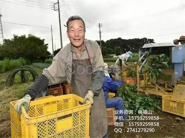 广西有机花肥价质量保障信赖