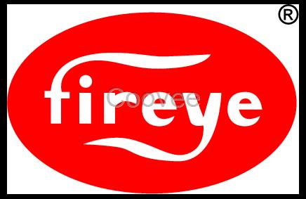 FIREYE/EUVS4美国火焰检测器放大器模块全新