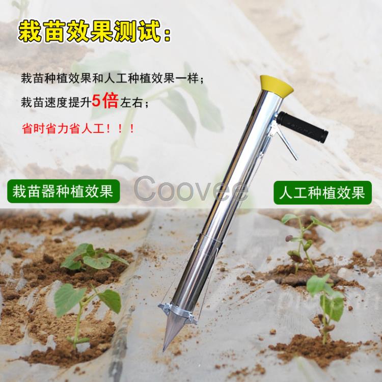 栽苗器厂家蔬菜栽苗器批发移栽机栽苗10亩