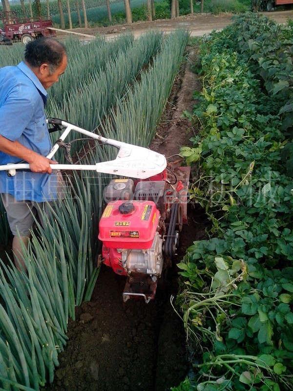 大葱封葱拢葱机生姜种植起垄机农用大棚施肥除草机山地犁地机