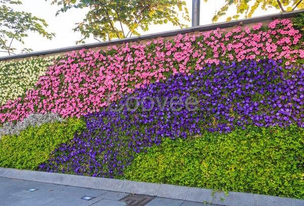 咸阳草花摆放草花造型制作