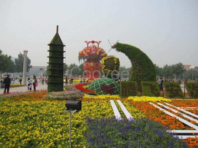 国庆节花卉摆放十一花卉摆放花卉造型设计施工花架花箱基地供应