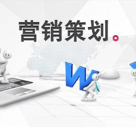 合肥野火信息科技团队营销策划