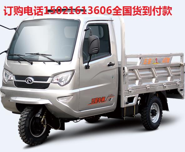 福田五星250ZH-Q13JA双缸三轮摩托车