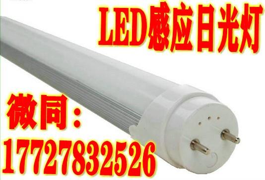 LED雷达灯管LED雷达感应灯管