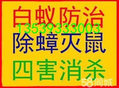 南海大沥上门灭白蚁灭蟑螂灭臭虫灭老鼠杀虫