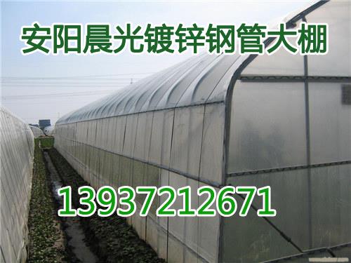 安阳晨光蔬菜大棚骨架8米跨度价格